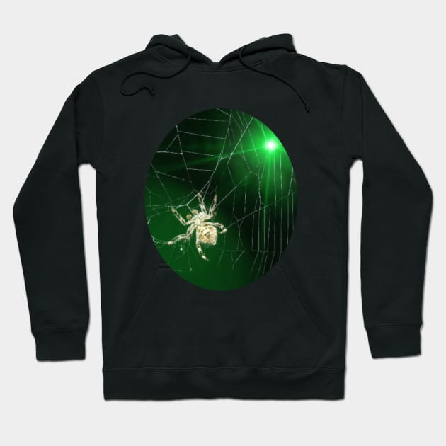 Spider Hoodie by Boss Ressa